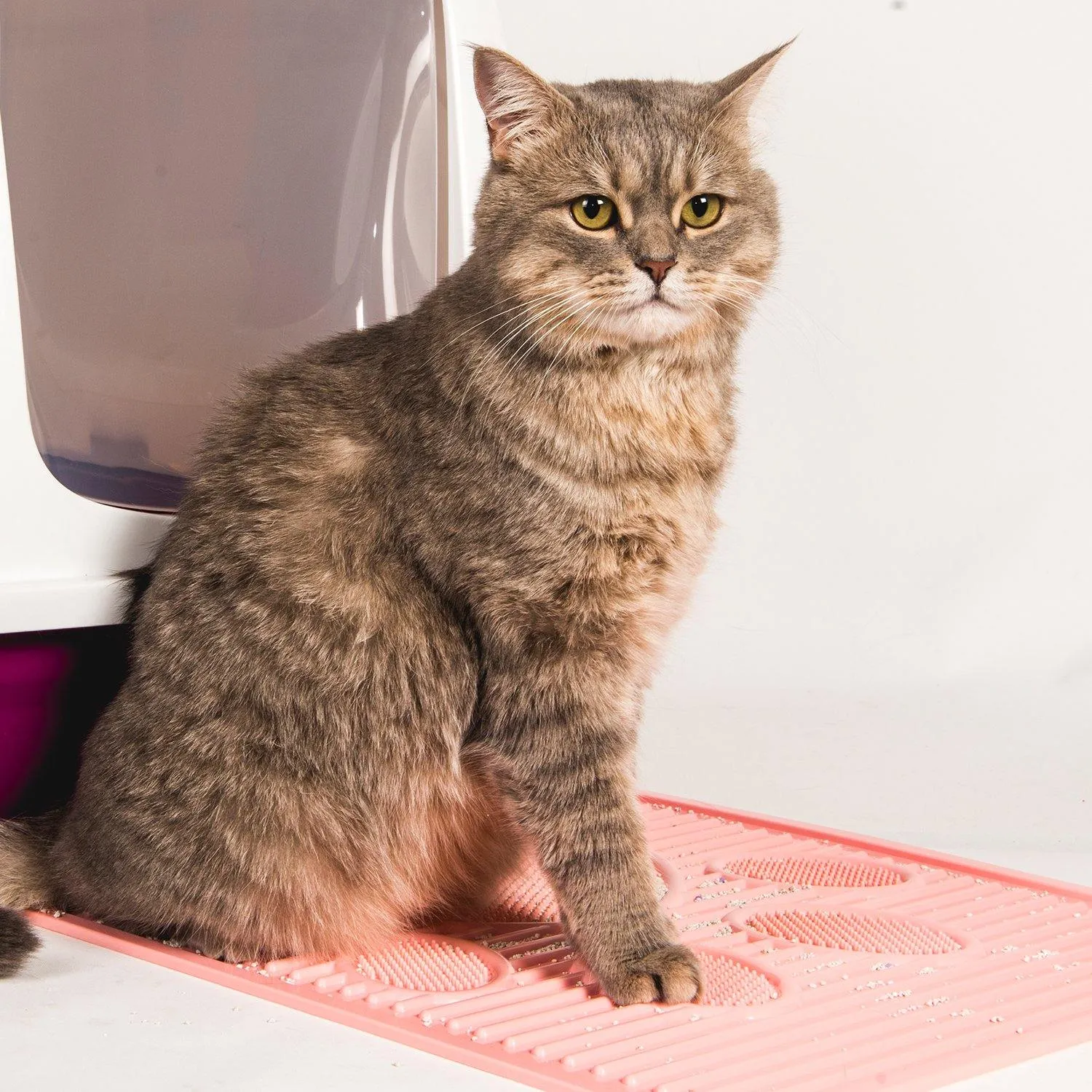Pets Loaf Waterproof Easy Clean Cat Litter Mat