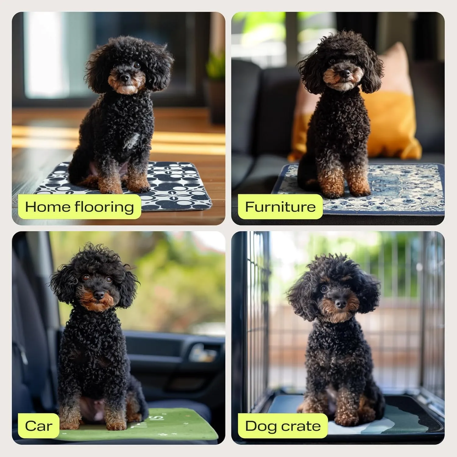 PetSpy Washable Pee Pads for Dogs 2-pack (18x41) - Waterproof Reusable Puppy Pads No-slip Surface - Stylish Dog Potty Training Pads Protect Against Leakage Small Medium Large Dogs, Oriental