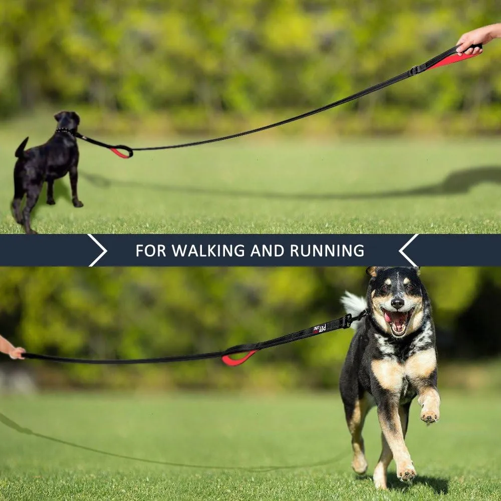 Plutus Pet Double Handle Dog Leash 6ft Long, Padded 2 Handle, Heavy Duty, Reflective Training Leash for Medium Large Dogs, Dual Handle Lead (Black)