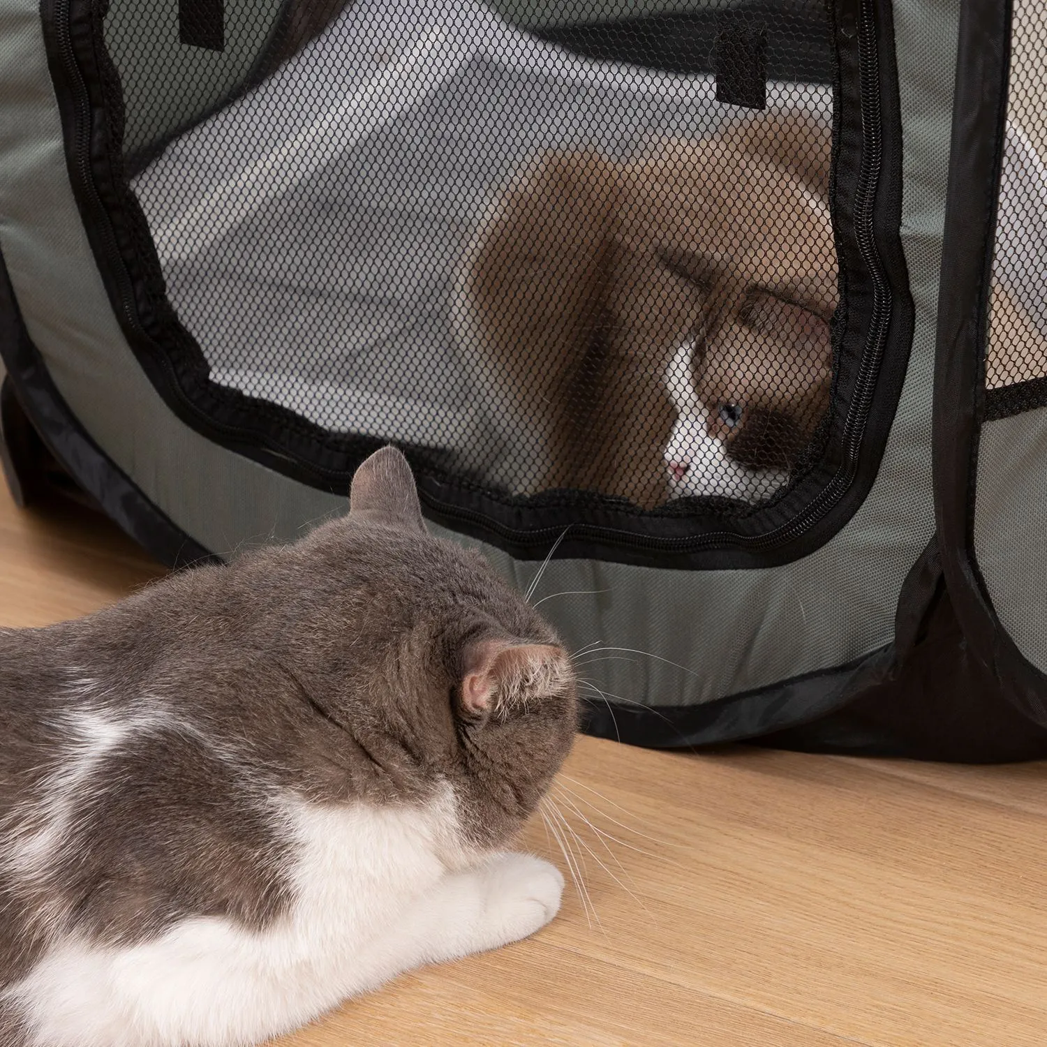 Portable Pet Playpen