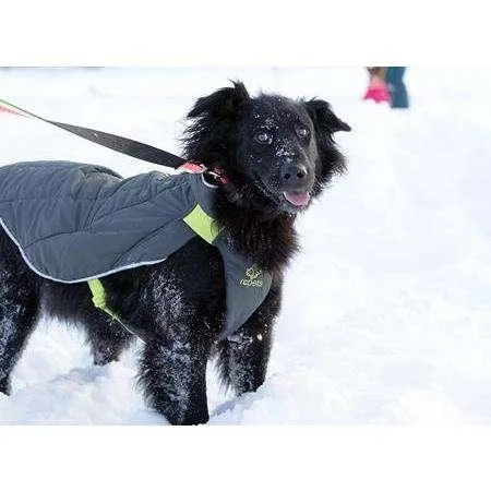 RC Dog Nimbus Puffer Graphite & Lime
