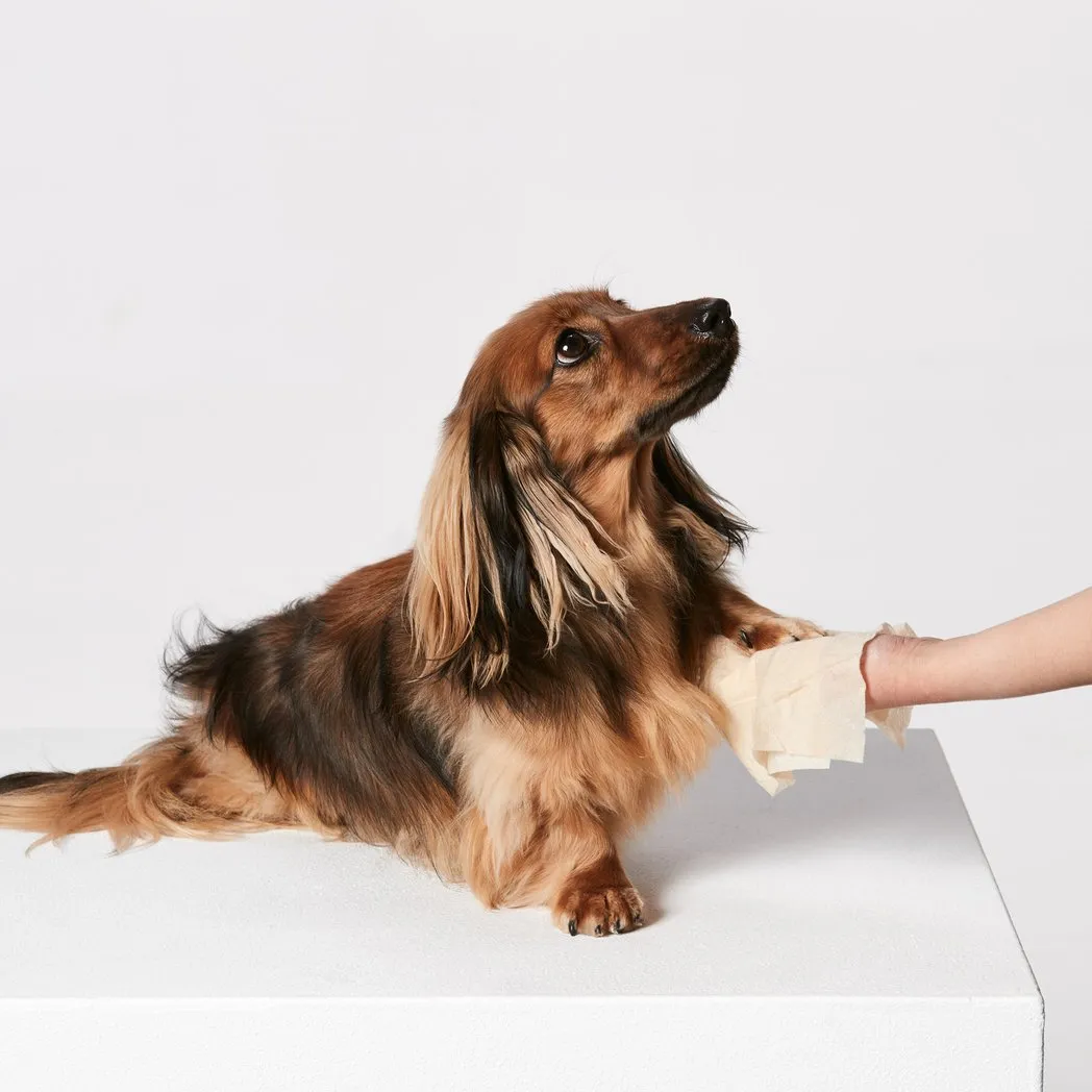 Snooza Skin and Coat Care Pet Wipes Unbleached^^^