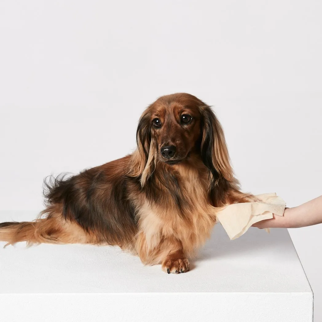 Snooza Skin and Coat Care Pet Wipes Unbleached^^^