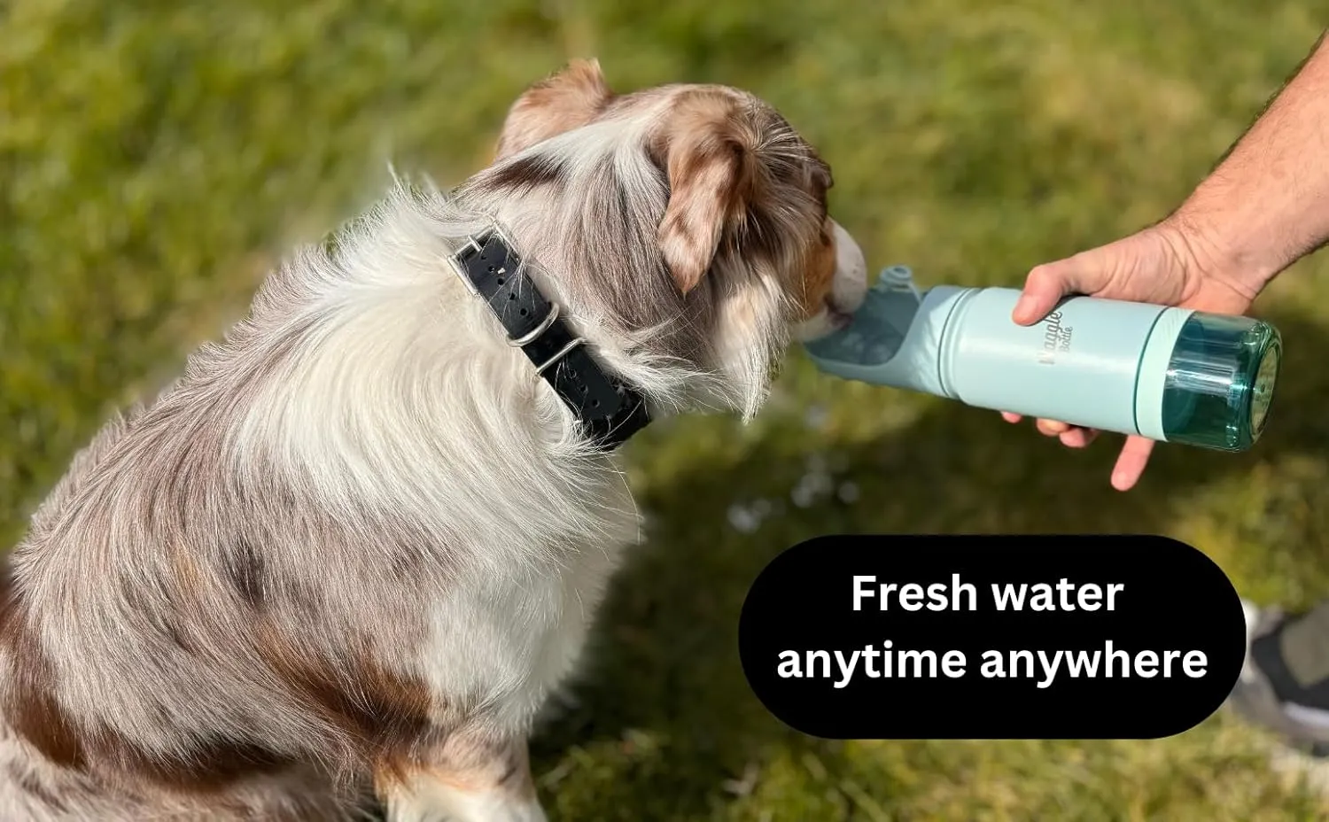 Stainless Steel Dog Travel Water Bottle, Vacuum Insulated Portable Dog Water Dispenser, Drink Cup and Snack Container On The Go, Outdoor Walking, Hiking, Travel (Lavender)