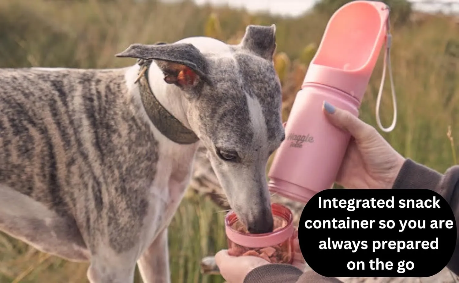 Stainless Steel Dog Travel Water Bottle, Vacuum Insulated Portable Dog Water Dispenser, Drink Cup and Snack Container On The Go, Outdoor Walking, Hiking, Travel (Lavender)