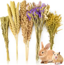 Sukh Natural Hamster Bedding - Hamsters Sprays Safe Cage Accessories Hideout Habitat Decorations for Dwarf Syrian Hamster,Gerbil,Lemming Degus,Mice and Other Small Animals