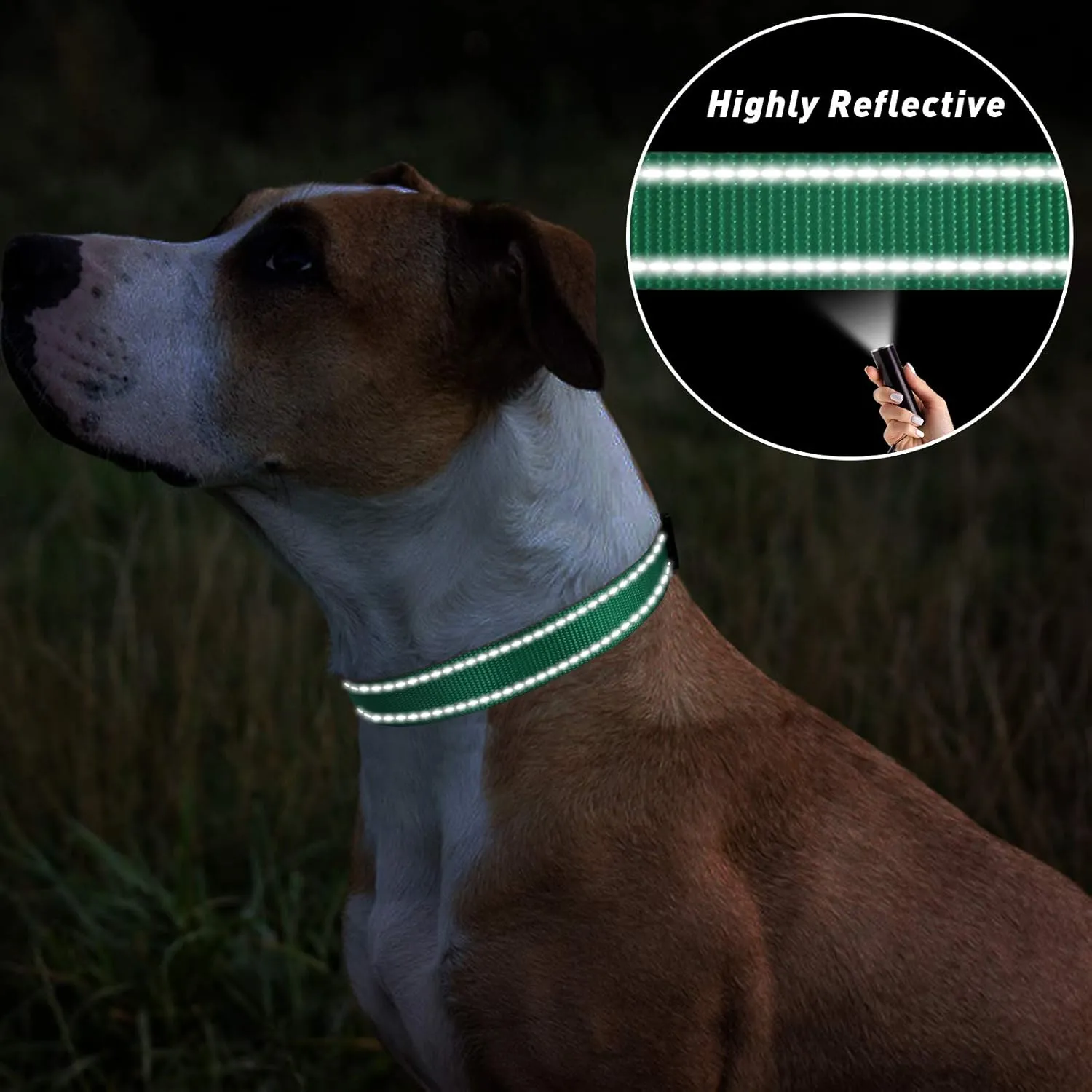 TagME Reflective Nylon Dog Collars, Adjustable Classic Pet Collar with Quick Release Buckle for Small Dogs, Turquoise, 5/8" Width