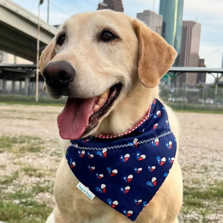 Texas Love & Pride reversible Dog Bandana - Handmade