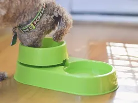 The 3-in-1 Ant Free Pet Dish (Small YG)